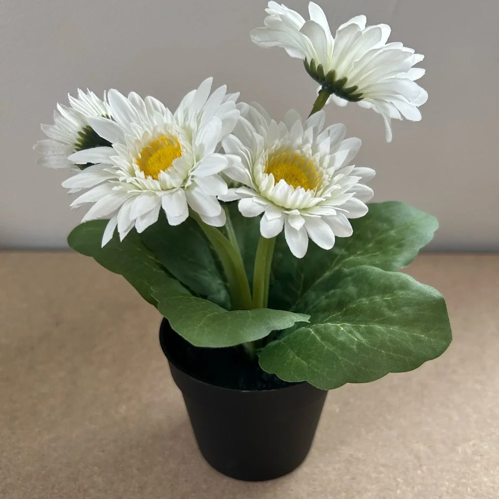 IKEA Faux White Daisy in Black Pot Set of 2